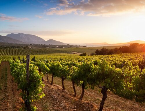 Occitanie, région de passion…