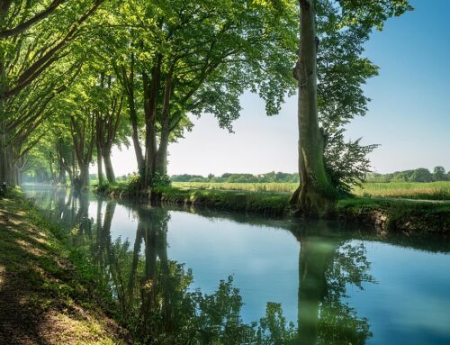 Le Canal du Midi…